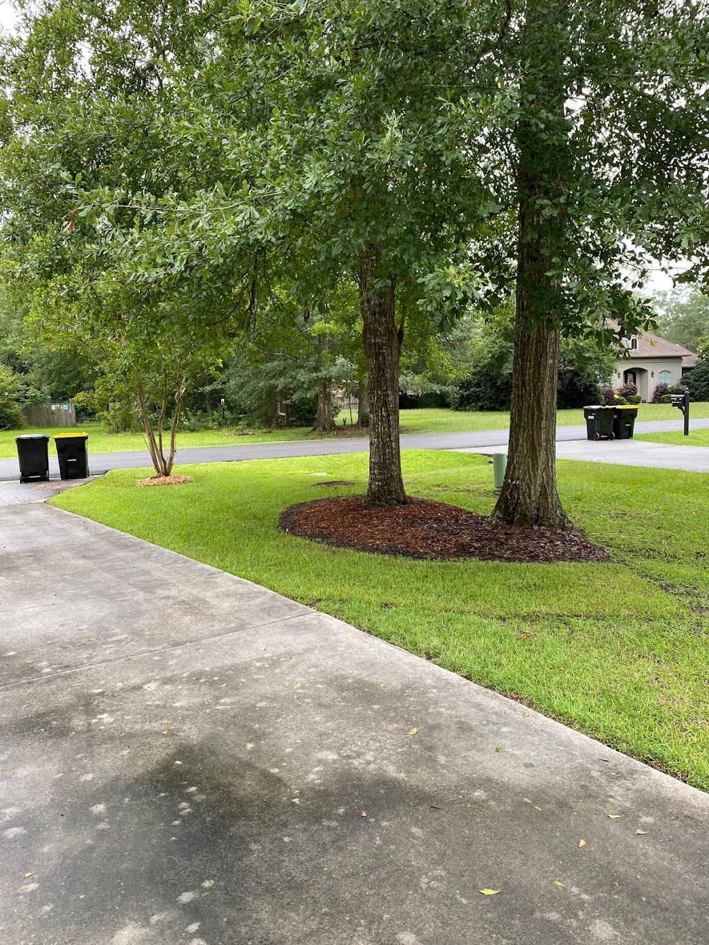 Jenkins Sod | 23468 Ronald Reagan Hwy, Robert, LA 70455, USA | Phone: (985) 276-0677