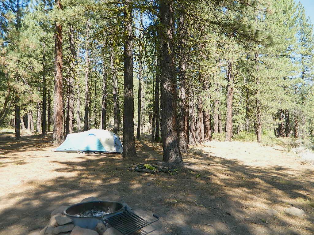 Crocker Campground | Portola, CA 96122, USA | Phone: (530) 283-2050