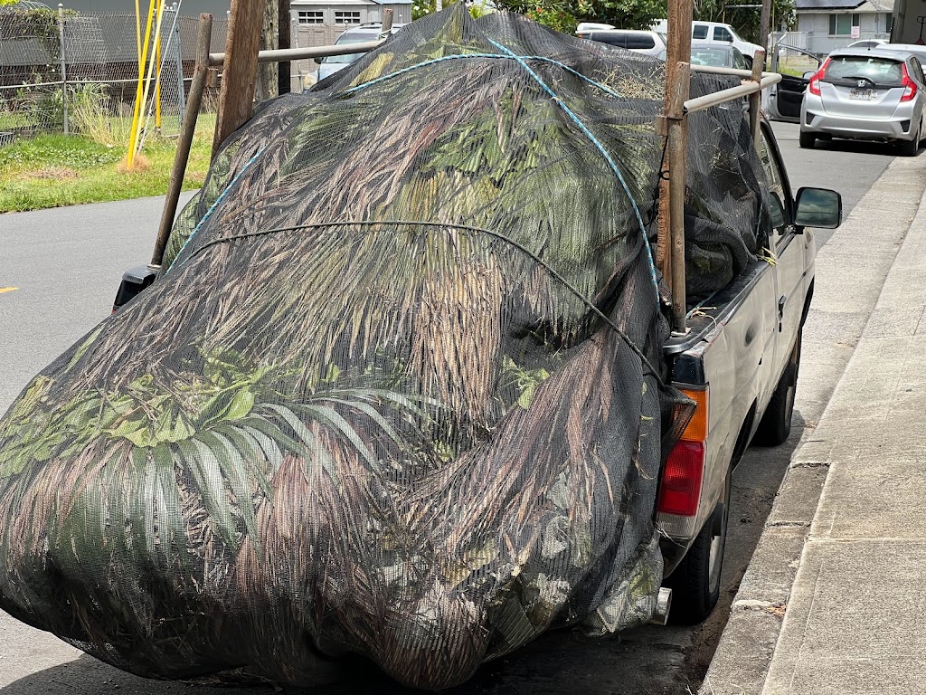 The Aquaponics Place | 41-1515 Lukanela St, Waimanalo, HI 96795, USA | Phone: (808) 259-5797