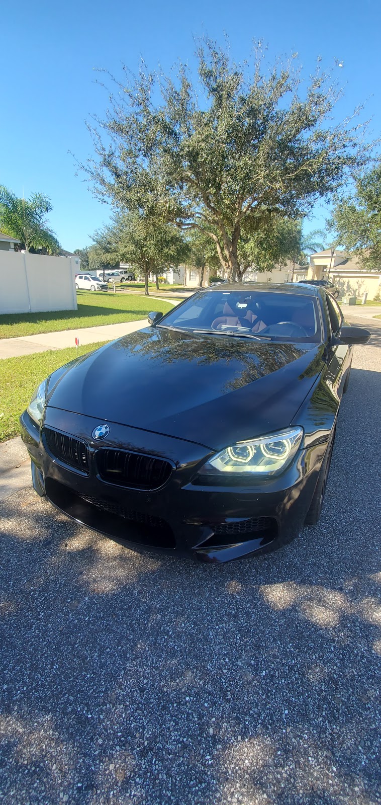 Olimpic Car Glass | 6280 Haines Rd N Back, St. Petersburg, FL 33702, USA | Phone: (800) 988-1779