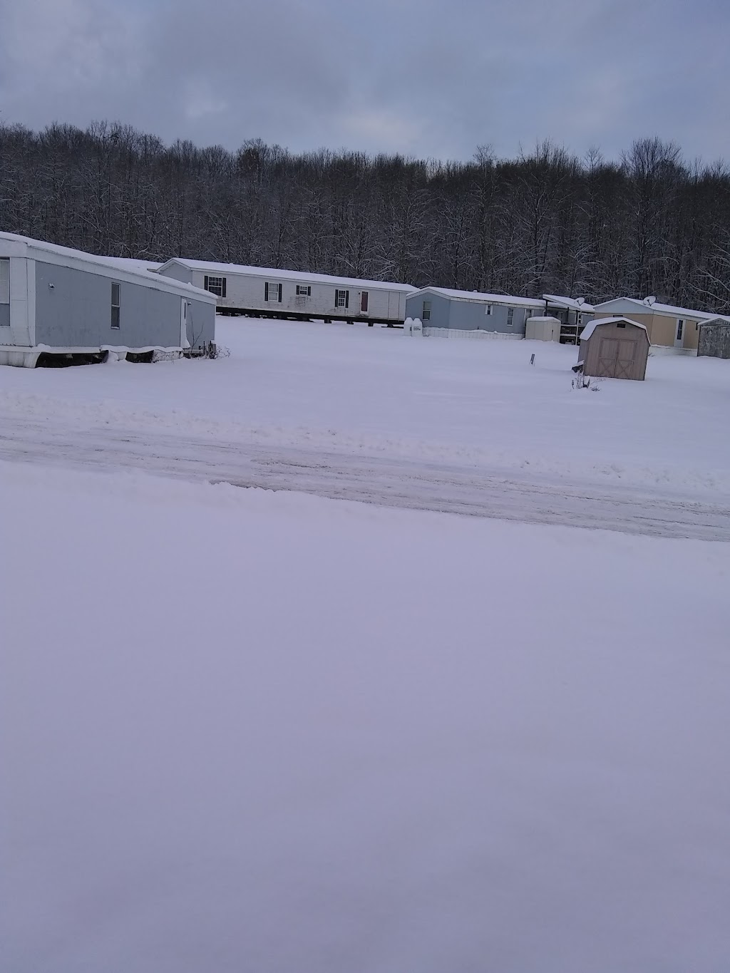 Country Roads Mobile Home Park | 3551 Ellwood Rd, New Castle, PA 16101, USA | Phone: (724) 598-0222