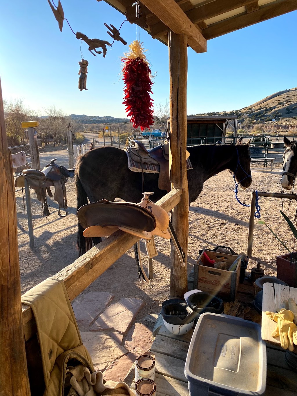 Broken Saddle Riding Co | 26 Vicksville Rd, Los Cerrillos, NM 87010, USA | Phone: (505) 424-7774