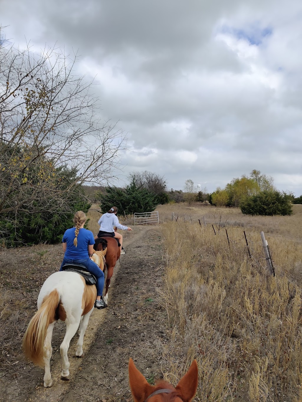 Heritage Hill Equestrian Center | 8882 Co Rd 392, Princeton, TX 75407, USA | Phone: (972) 734-9800