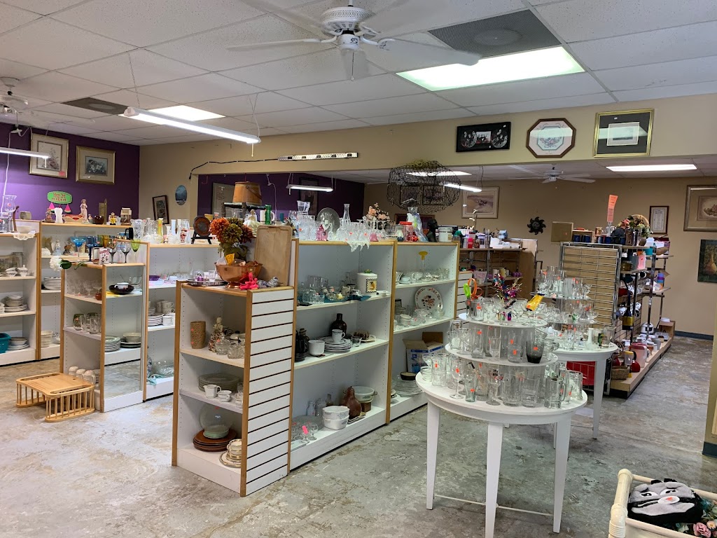 Animalade Incs Thrifty Dog Thrift Store | 9017 Commercial Way Unit C, Spring Hill, FL 34613, USA | Phone: (352) 701-1107