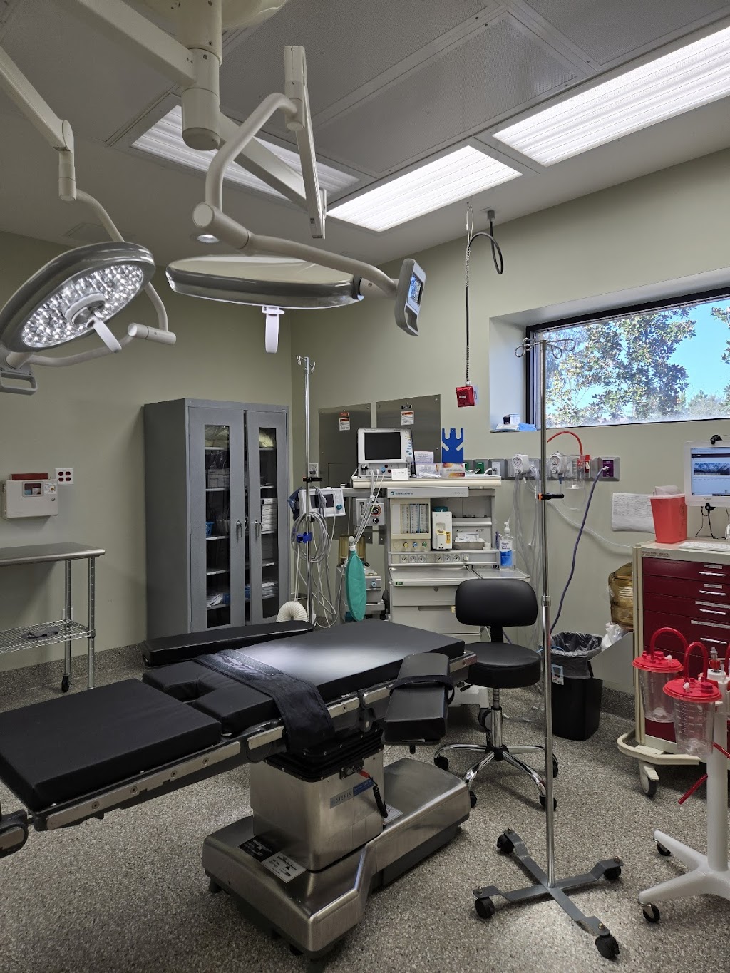 NUWA WORLD | 9580 US-301, Wildwood, FL 34785, USA | Phone: (352) 633-0703