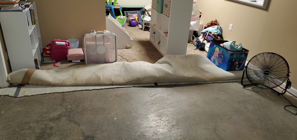 Louisville Carpet Cleaning & Flood Restoration | 3915 Benje Way, Louisville, KY 40241, USA | Phone: (502) 585-2444