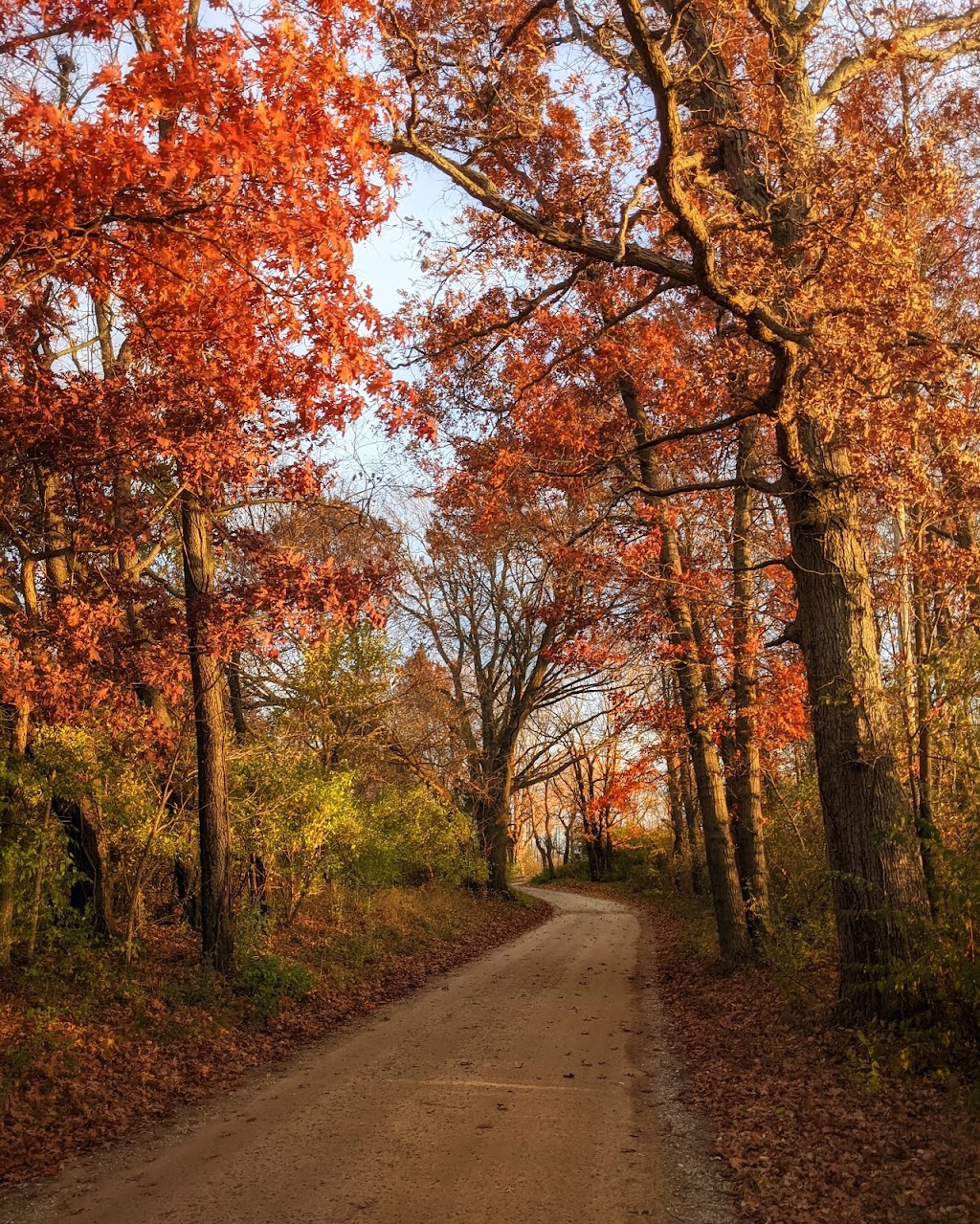 Onsted State Game Area | 42°0250."N 84°14."W, NE 50th Ave, 7, MI 49230, USA | Phone: (517) 522-4097