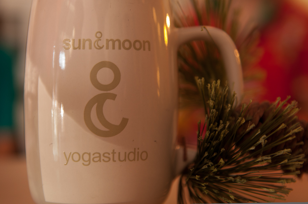 Sun & Moon Yoga Studio Inc | 3811 Langston Blvd., Arlington, VA 22207 | Phone: (703) 525-9642