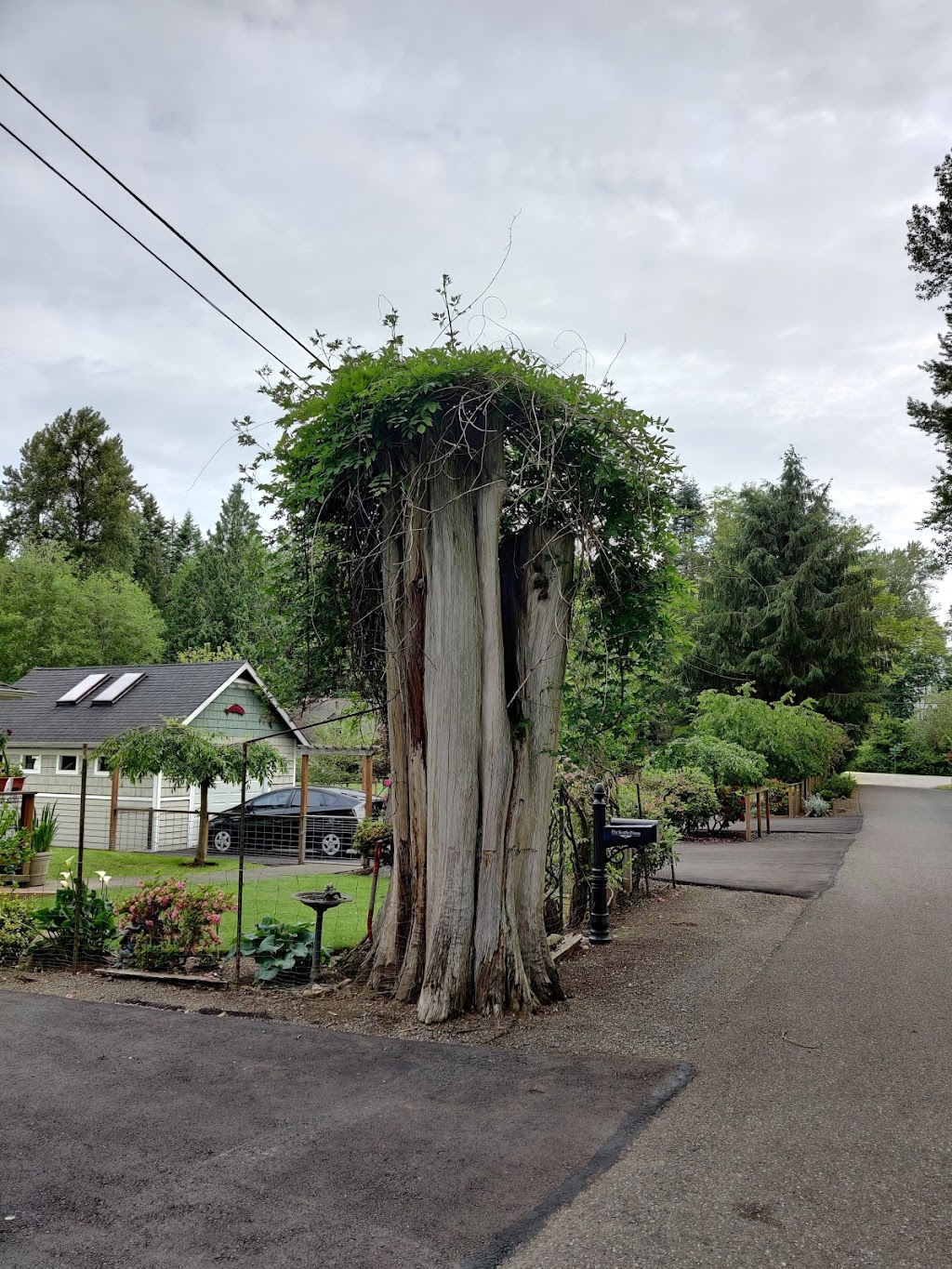 Centennial Trailhead At Machias Park | 1626 Virginia St, Snohomish, WA 98290, USA | Phone: (425) 388-3411