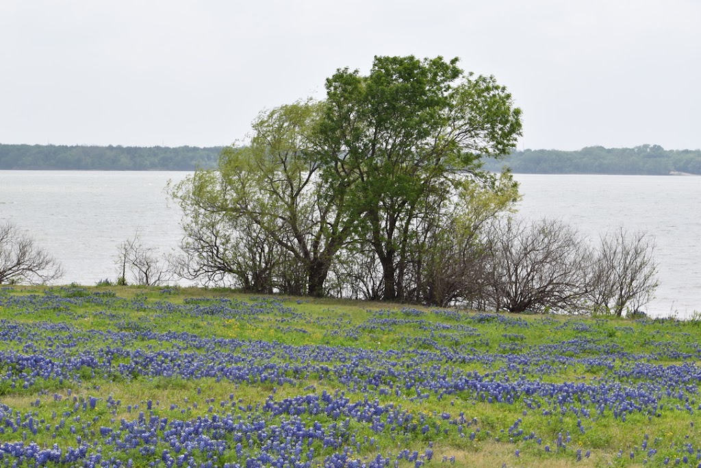 Meadow Nature Area | 1901 Laneview Dr, Ennis, TX 75119, USA | Phone: (972) 878-4748