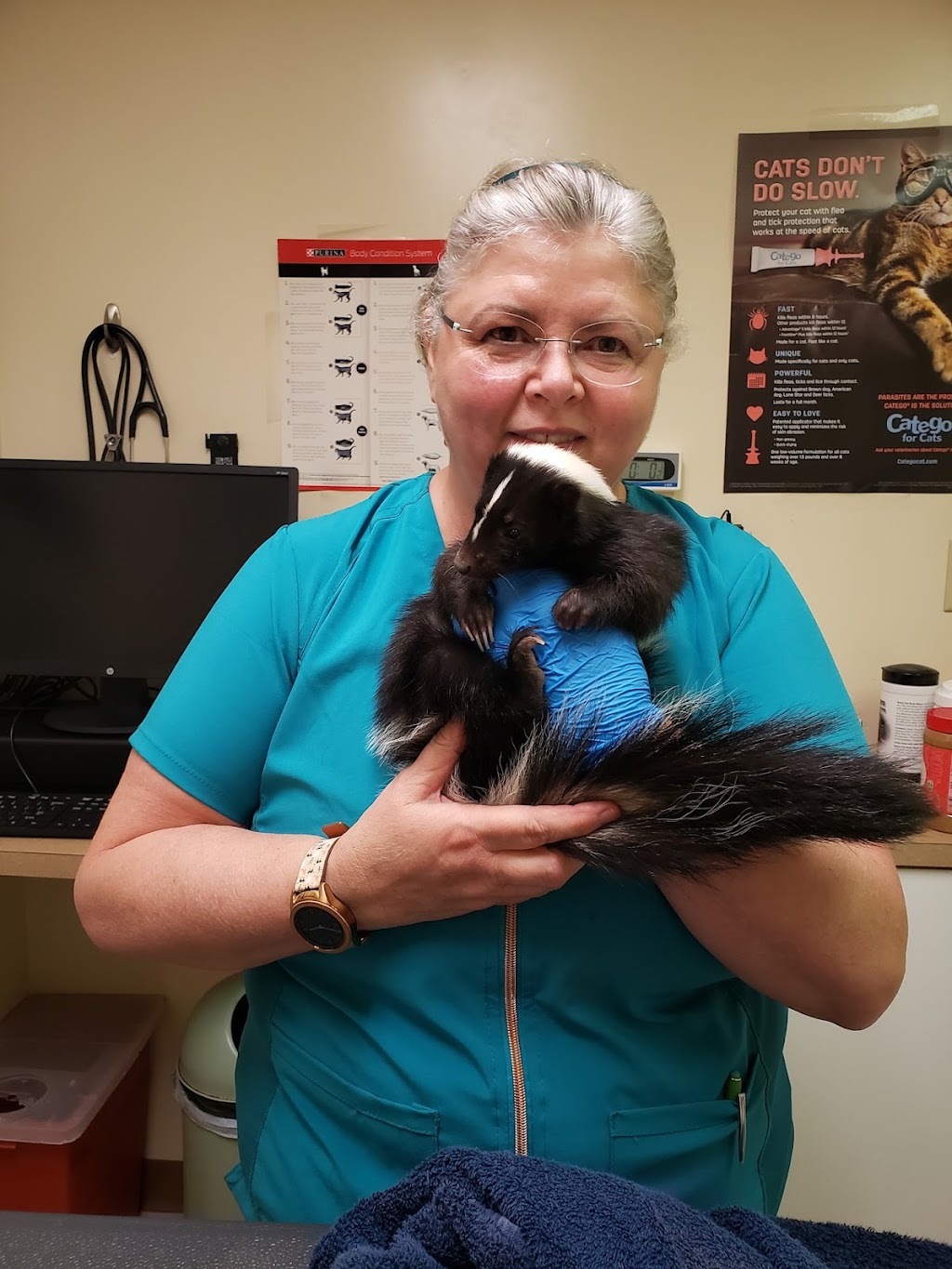 Braden Run Animal Hospital | 216 Braden Run Rd, Waynesburg, PA 15370, USA | Phone: (724) 627-5079