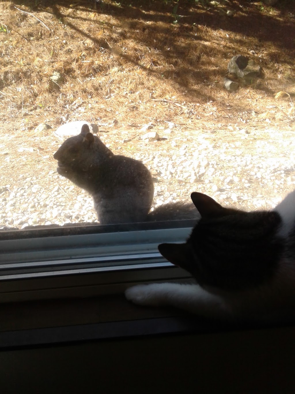 Beaver Dam Bay Marina | W9276 Co Rd G, Beaver Dam, WI 53916, USA | Phone: (920) 219-9200