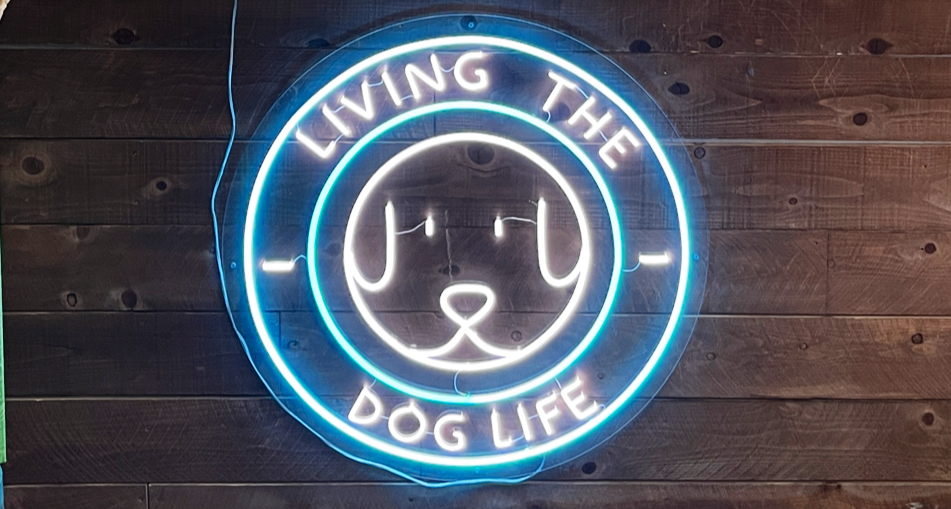 Living The Dog Life | 355 E La Habra Blvd, La Habra, CA 90631, USA | Phone: (562) 448-3395