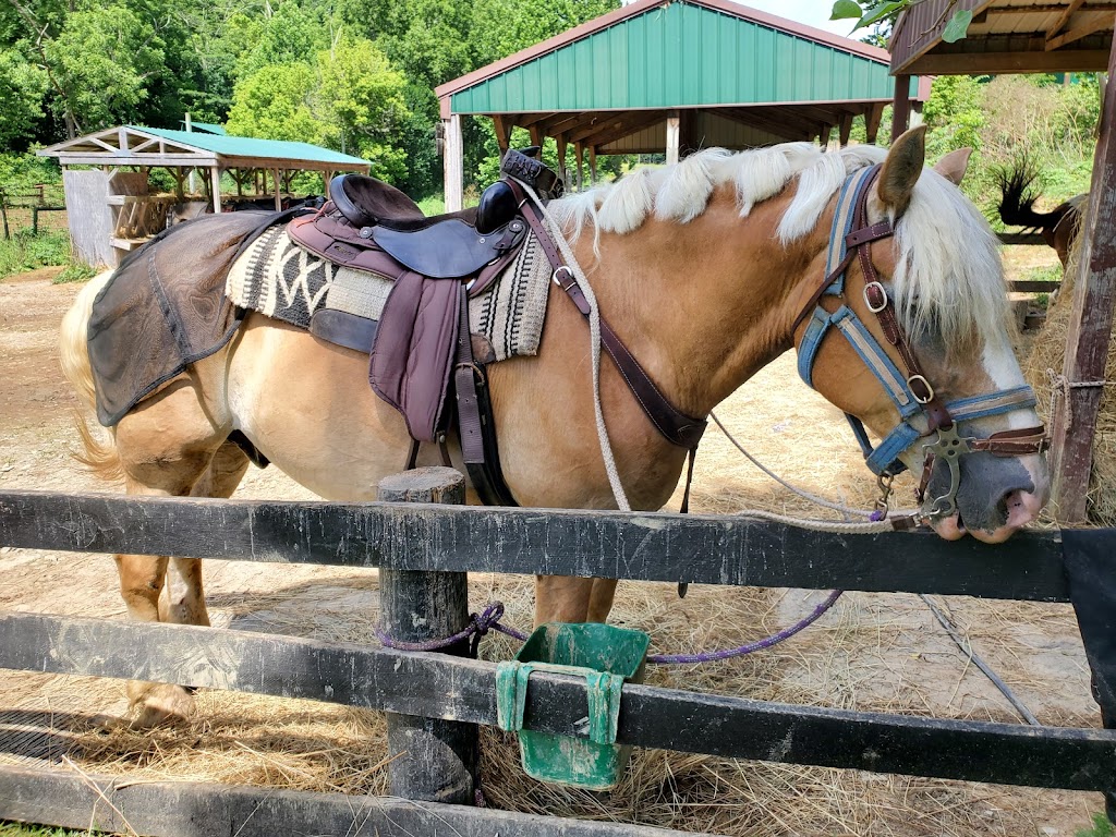 Whispering Woods Riding Stables | 265 Wright Ln, Georgetown, KY 40324, USA | Phone: (502) 570-9663