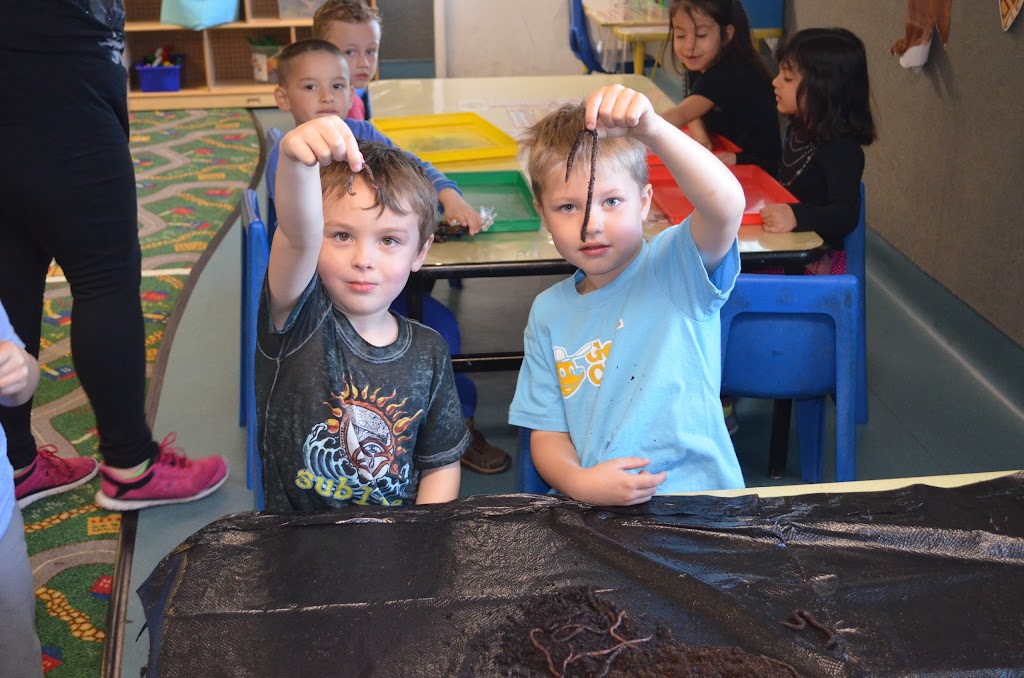 Acres of Learning Child Care Center | 5275 Tegan Rd, Elk Grove, CA 95758, USA | Phone: (916) 684-1600