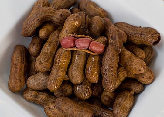 Mikes Boiled Peanuts is Temporarily Closed | 1132 Boone Ave, Kingsland, GA 31548, USA | Phone: (912) 617-1570