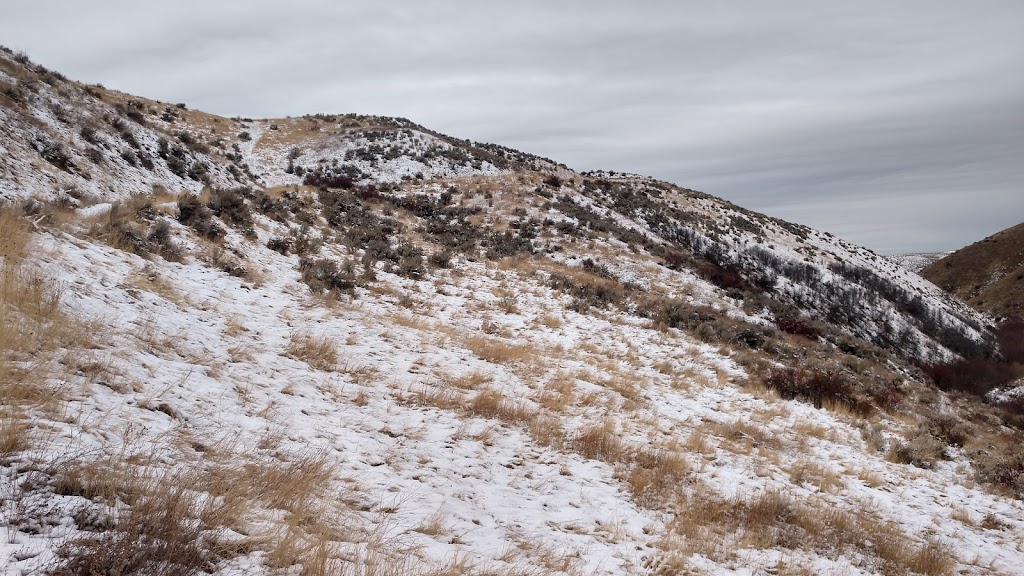 Dry Creek Trailhead Parking | 8466-, 8768 N Bogus Basin Rd, Boise, ID 83702, USA | Phone: (208) 493-2531