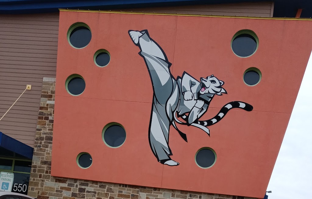 White Tiger Taekwondo | 550 E Interstate 30, Rockwall, TX 75087, USA | Phone: (972) 722-0001