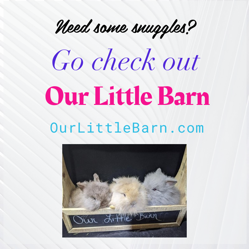 Our Little Barn | 4810 S Tower Rd, Santa Fe, TX 77517 | Phone: (409) 795-1974