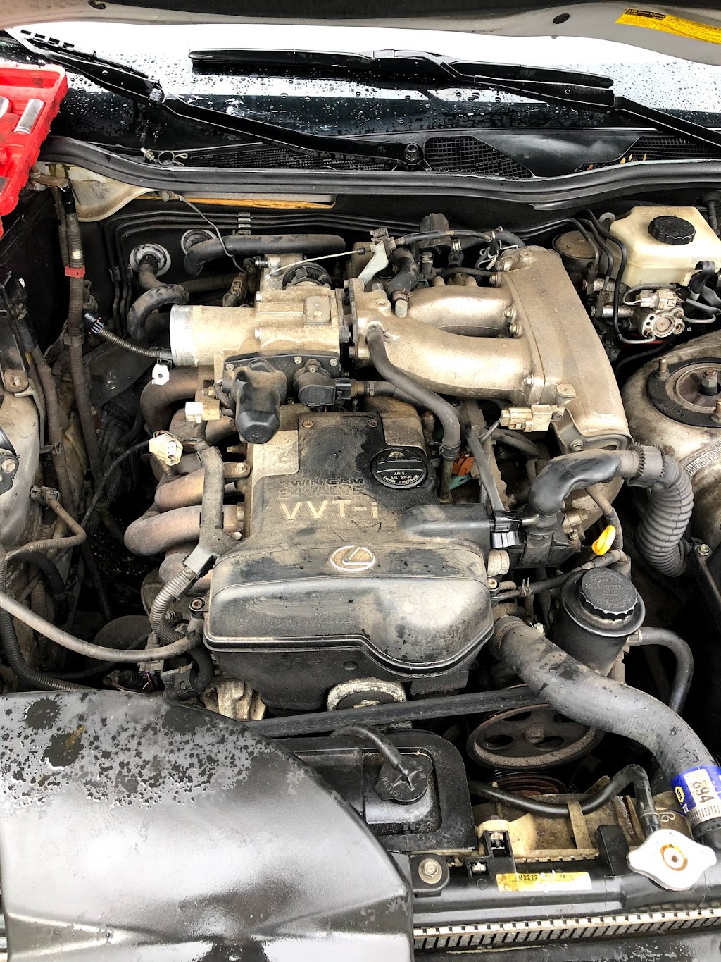 BigMoneyAutoRepair | 9412 Grandfield Rd Unit A, Thonotosassa, FL 33592, USA | Phone: (813) 538-9655
