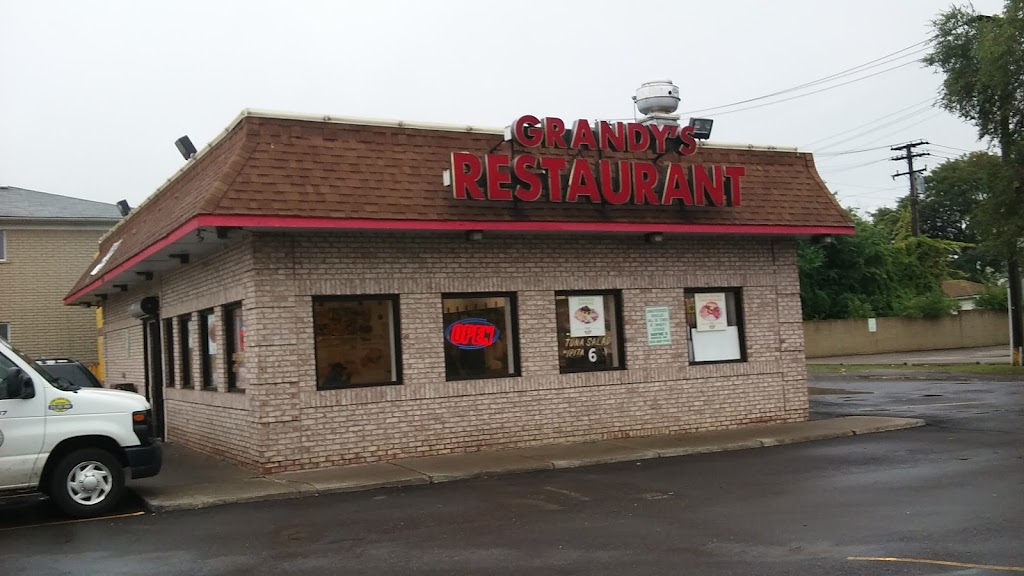 Grandys Coney Island | 4004 Outer Dr E, Detroit, MI 48234, USA | Phone: (313) 368-8180