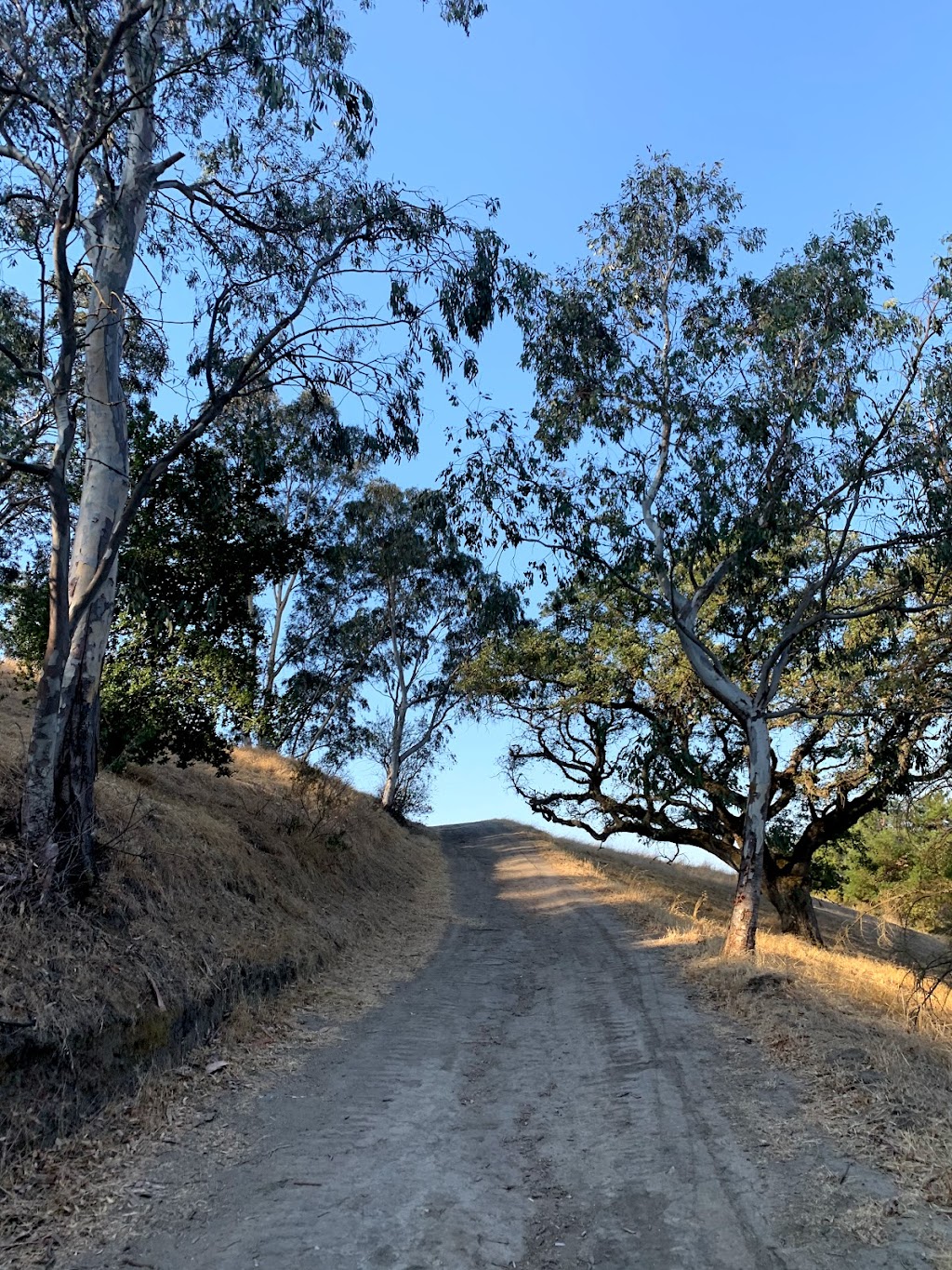 Acalanes Ridge Open Space Acalanes South Trail | 1215 Bacon Way, Lafayette, CA 94549, USA | Phone: (925) 943-8554