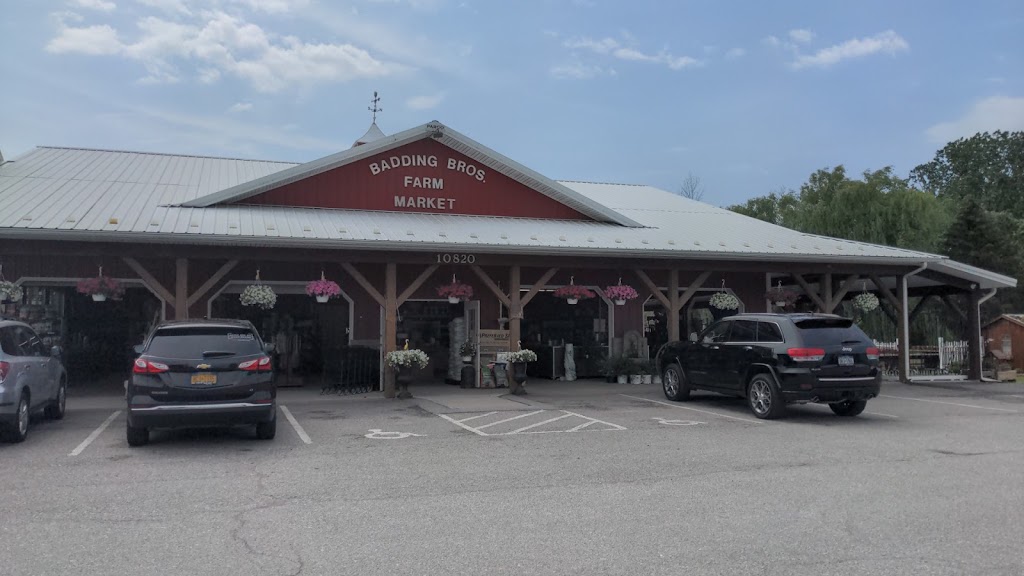 Badding Farm Market and Garden Center | 10820 Transit Rd, East Amherst, NY 14051, USA | Phone: (716) 636-7824