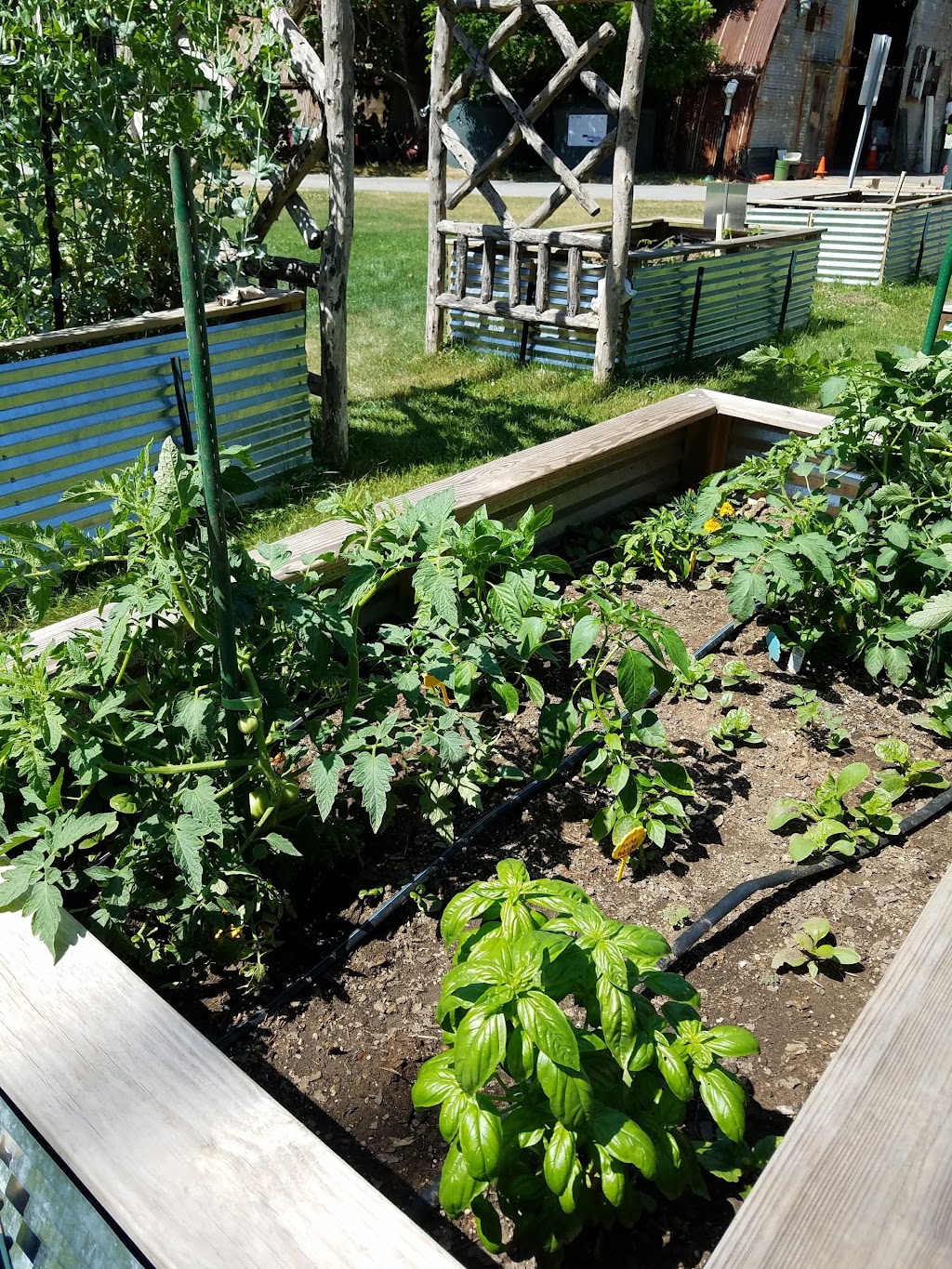 Chastain Park Conservancy | 4001 Powers Ferry Rd NW, Atlanta, GA 30342, USA | Phone: (404) 237-2177