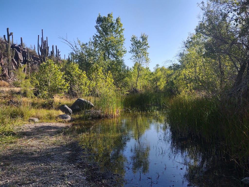 Spur Cross Ranch Conservation | 44000 N Spur Cross Rd, Cave Creek, AZ 85331 | Phone: (602) 506-2930