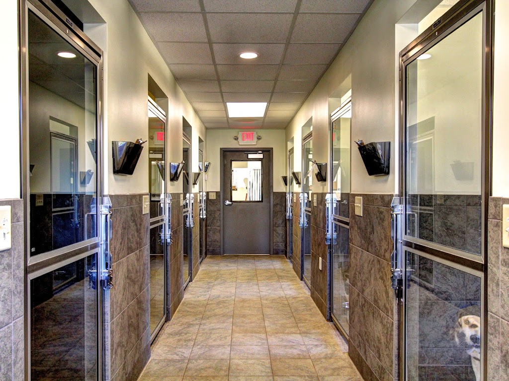 Brookstone Animal Hospital | 5410 Brookstone Dr NW, Acworth, GA 30101, USA | Phone: (770) 628-0651