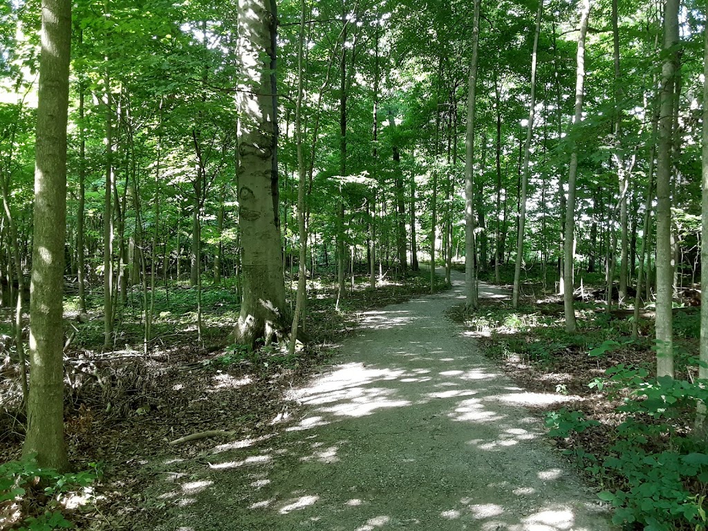 Gallant Woods Park | 2151 Buttermilk Hill Rd, Delaware, OH 43015, USA | Phone: (740) 524-8600