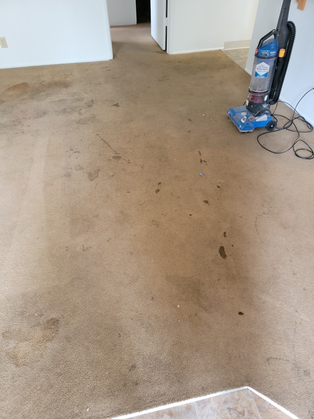 Clean Step Carpet Cleaning | 5524 3rd Ave, Nampa, ID 83686, USA | Phone: (208) 319-0494