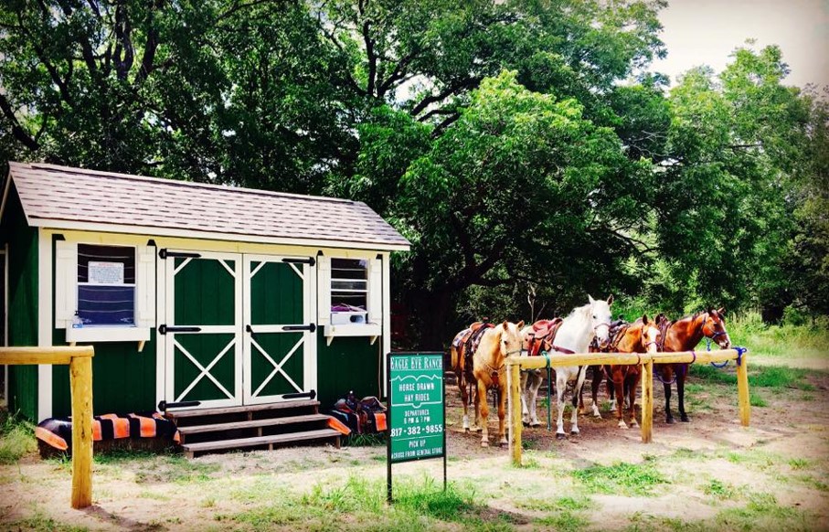 Eagle Eye Ranch Carriage Company | 1629 Park Rd 59, Glen Rose, TX 76043, USA | Phone: (817) 382-9855