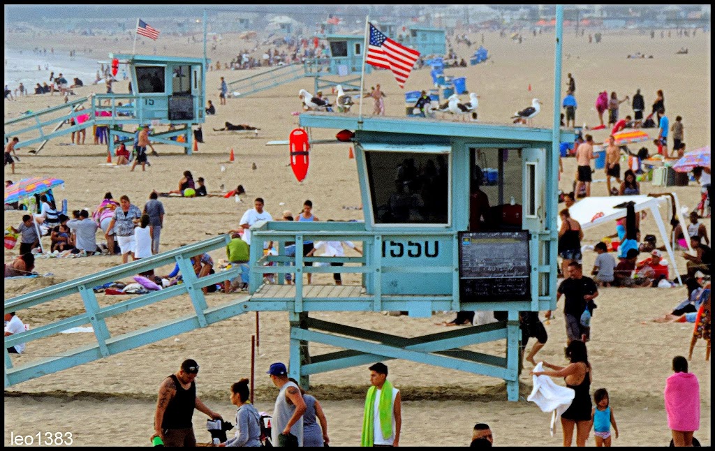 Beachcomber Gift Cart | 340 Santa Monica Pier, Santa Monica, CA 90401, USA | Phone: (310) 395-9621