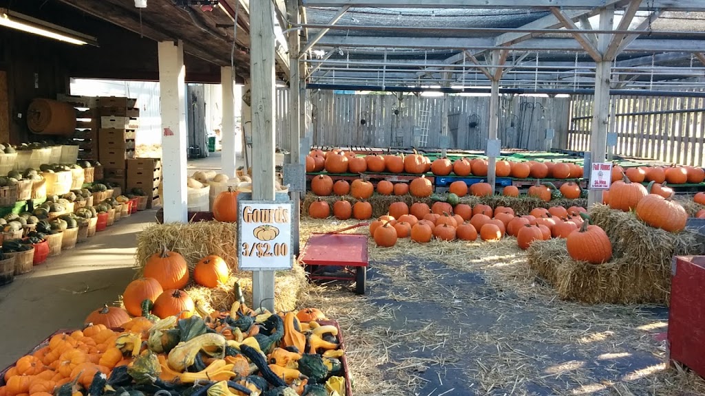 Gallaghers Farm Market | 346 Hwy 20 W, Fenwick, ON L0S 1C0, Canada | Phone: (905) 892-0698