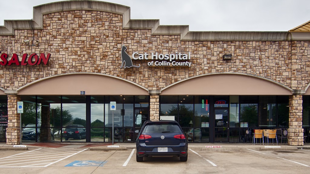 Cat Hospital of Collin County | 600 E Bethany Dr B, Allen, TX 75002, USA | Phone: (972) 747-7353