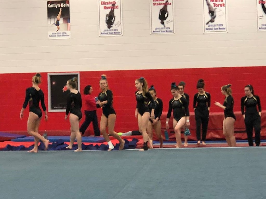 Gymnastics Central | 8485 Broadwell Rd, Cincinnati, OH 45244, USA | Phone: (513) 947-0540