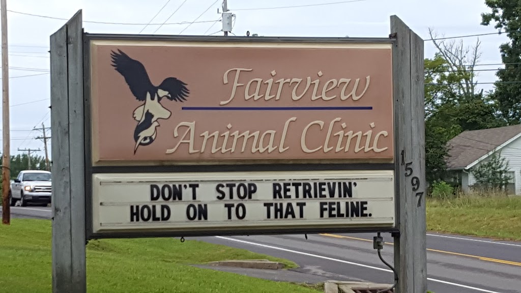 Fairview Animal Clinic | 1597 Fairview Blvd, Fairview, TN 37062, USA | Phone: (615) 799-2118