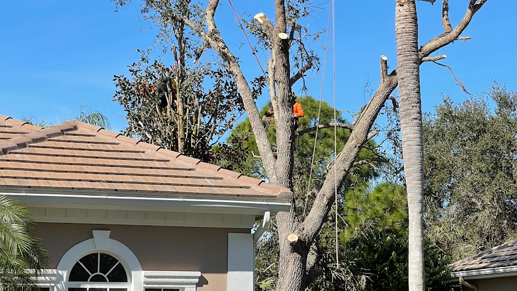 Troyer Tree Service | 6742 Richardson Rd, Sarasota, FL 34240, USA | Phone: (941) 371-7452