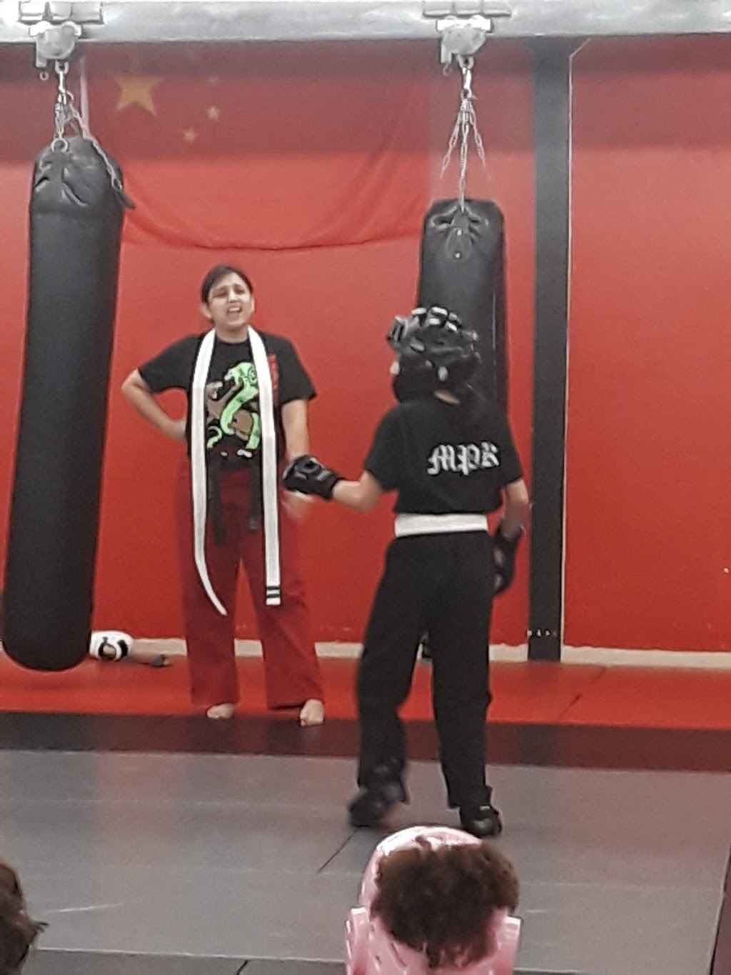 Mongoose Martial Arts | 1712 Fredericksburg Rd, San Antonio, TX 78201, USA | Phone: (210) 912-6991