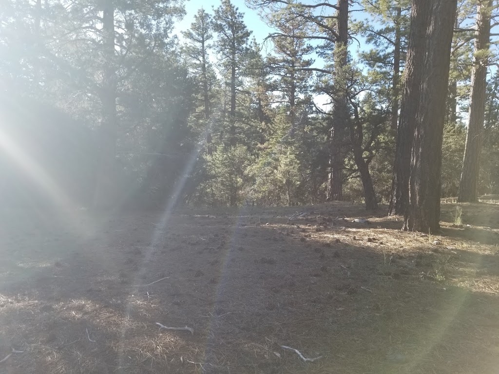 Tanglewood Group Campground | 35540 Holcomb Valley Rd, Big Bear, CA 92314, USA | Phone: (909) 866-3437