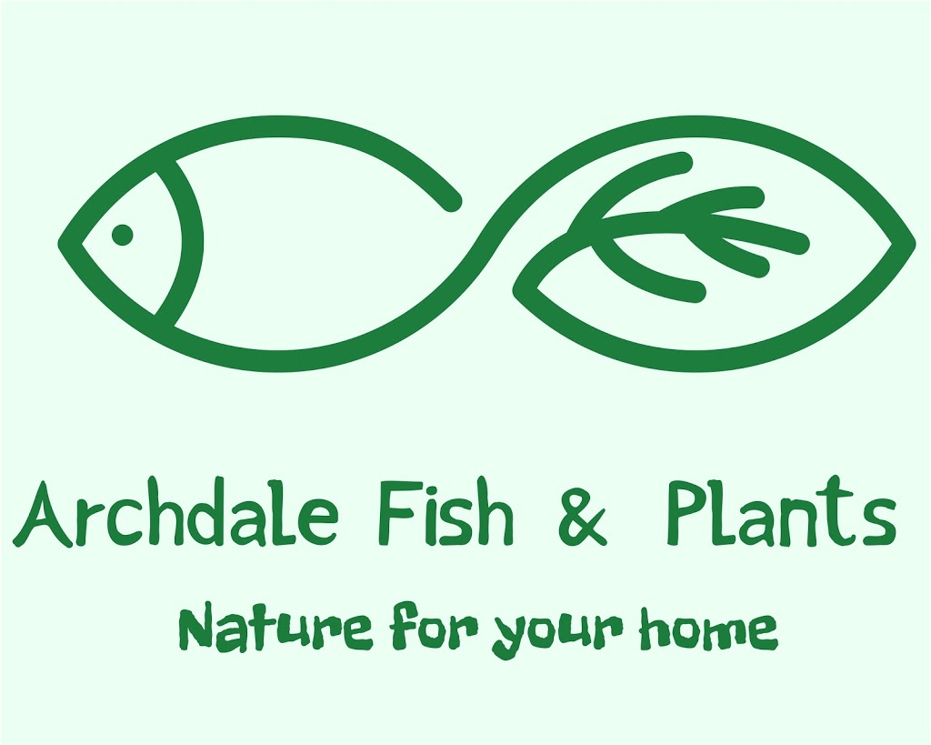 archdale fish & plants | 311 Trindale Rd, Archdale, NC 27263, USA | Phone: (743) 600-1363