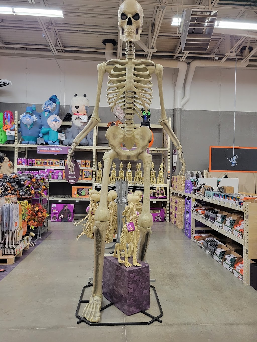 Winchester Square | Winchester Square Shopping Center, 6095 Gender Rd, Canal Winchester, OH 43110, USA | Phone: (614) 744-2222