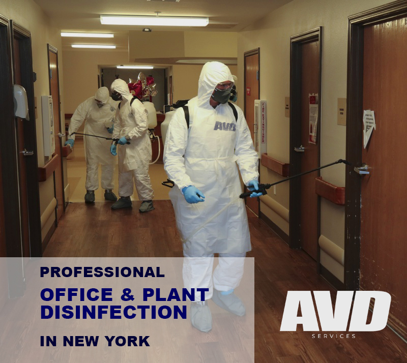 All Virus Disinfection Inc. | 2321 Avenue X, Brooklyn, NY 11235, USA | Phone: (646) 468-2236