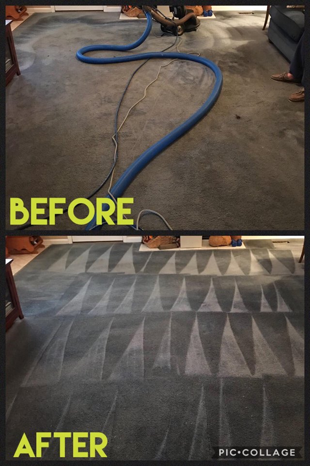 On Demand Carpet Care | 796 Old Eason Rd, Zebulon, NC 27597, USA | Phone: (919) 675-7477