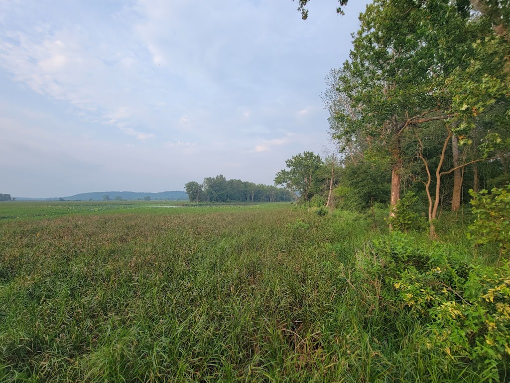 Little Bean Marsh Conservation Area | Unnamed Road, Rushville, MO 64484, USA | Phone: (816) 858-5718