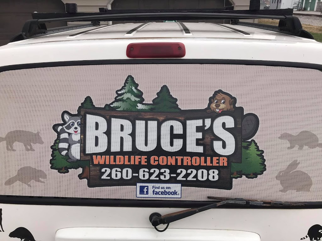 Bruces Wildlife Controller | 204 Main St, Monroeville, IN 46773, USA | Phone: (260) 623-2208