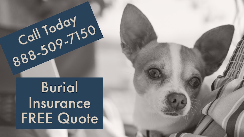 Routt Insurance - Senior Advisor | 3455 Countryside Blvd #29, Clearwater, FL 33761, USA | Phone: (888) 509-7150