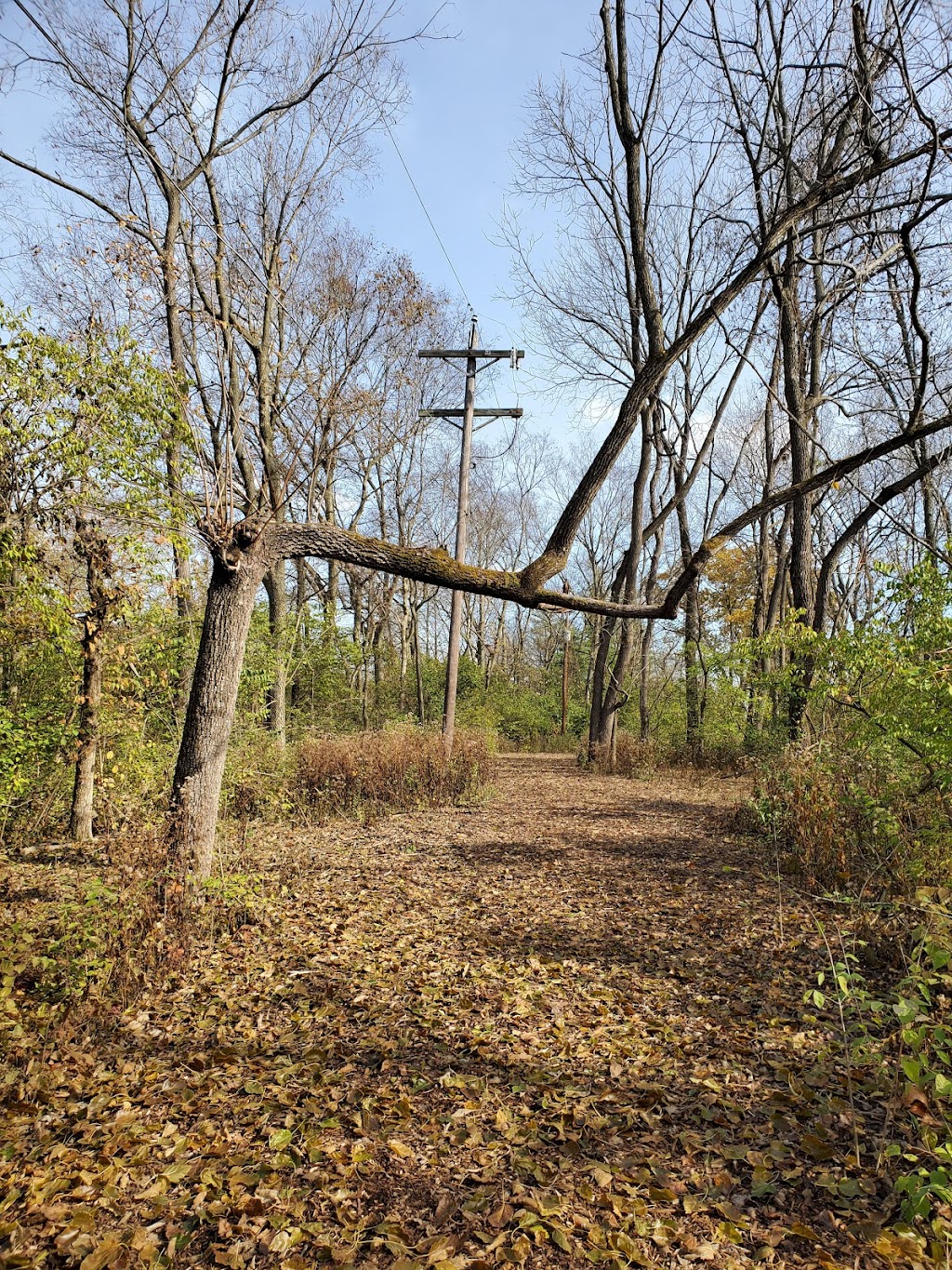 Rosemont Park Nature Reserve | 6388 Hamilton Middletown Rd, Middletown, OH 45044, USA | Phone: (513) 727-8953