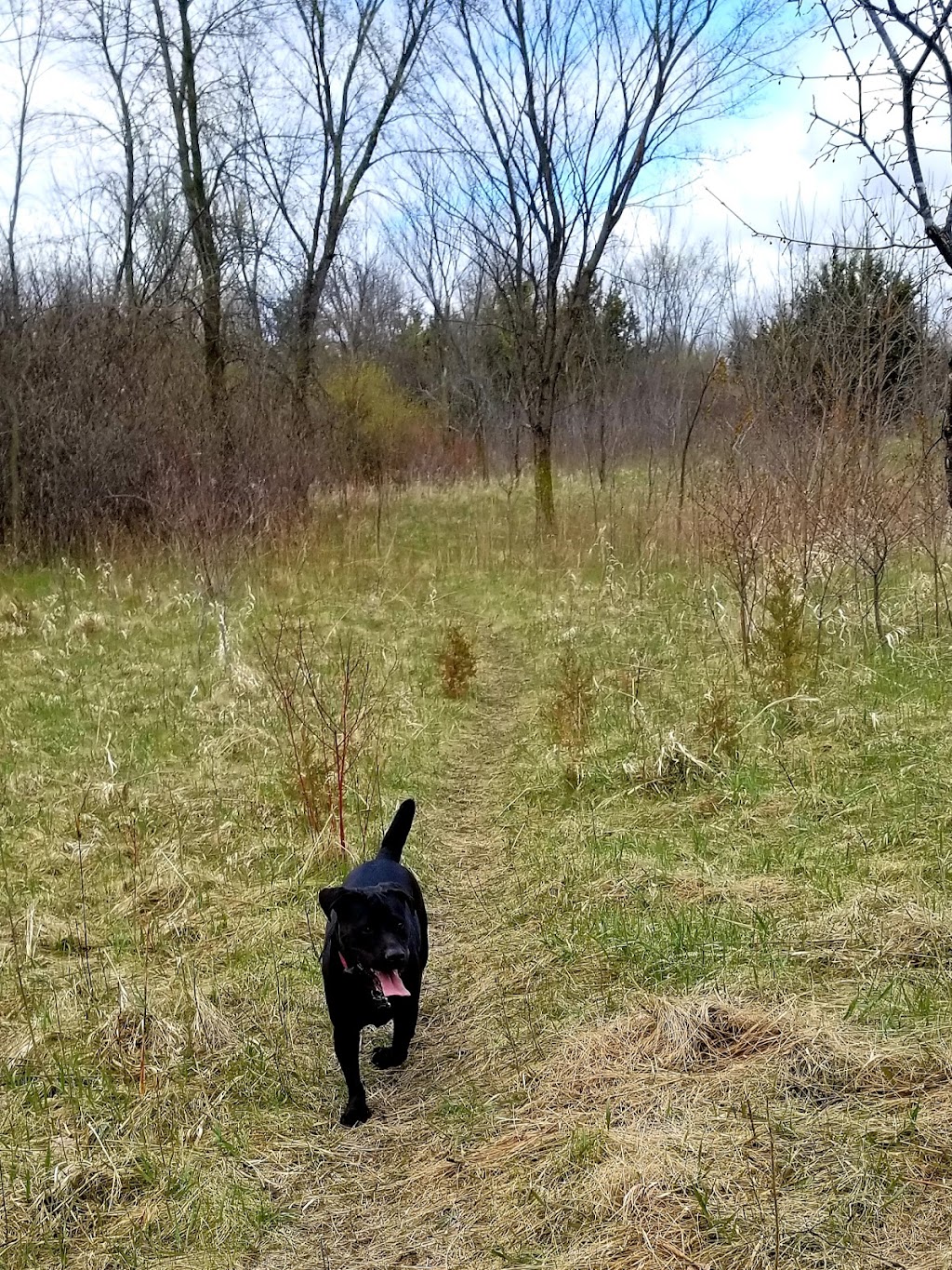 Lake Sarah Dog Park | 6670 W Lake Sarah Dr, Rockford, MN 55373, USA | Phone: (763) 694-7860